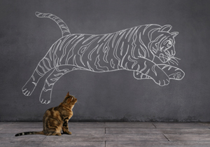 Cat envisioning self as Tiger